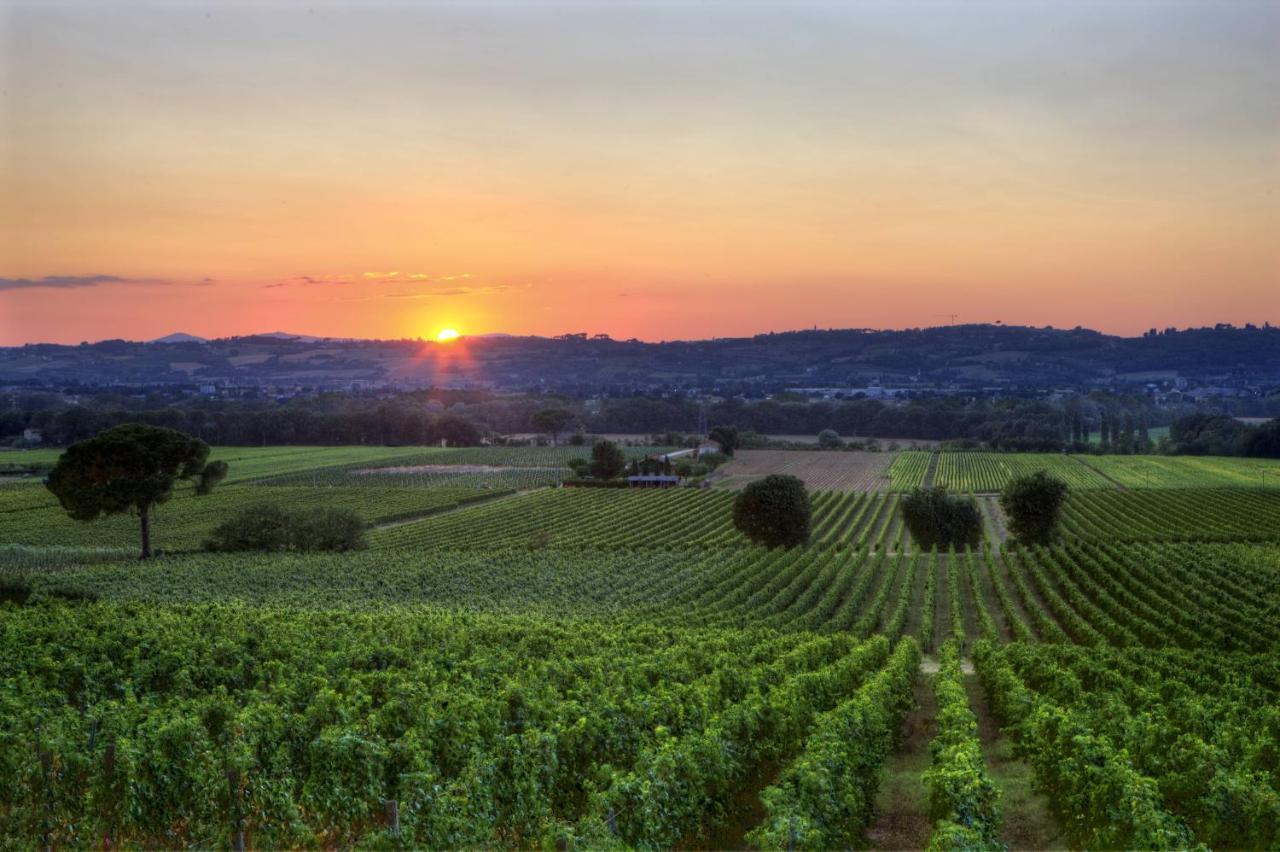 Poggio Alle Vigne Torgiano Exterior photo