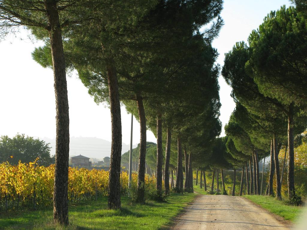 Poggio Alle Vigne Torgiano Exterior photo